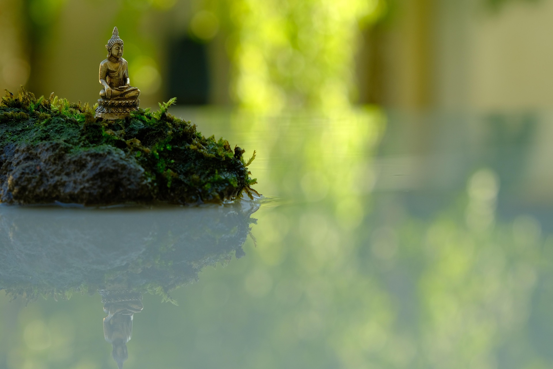 Seminar "QiGong trifft Meditation und Buddhismus" am Muldestausee