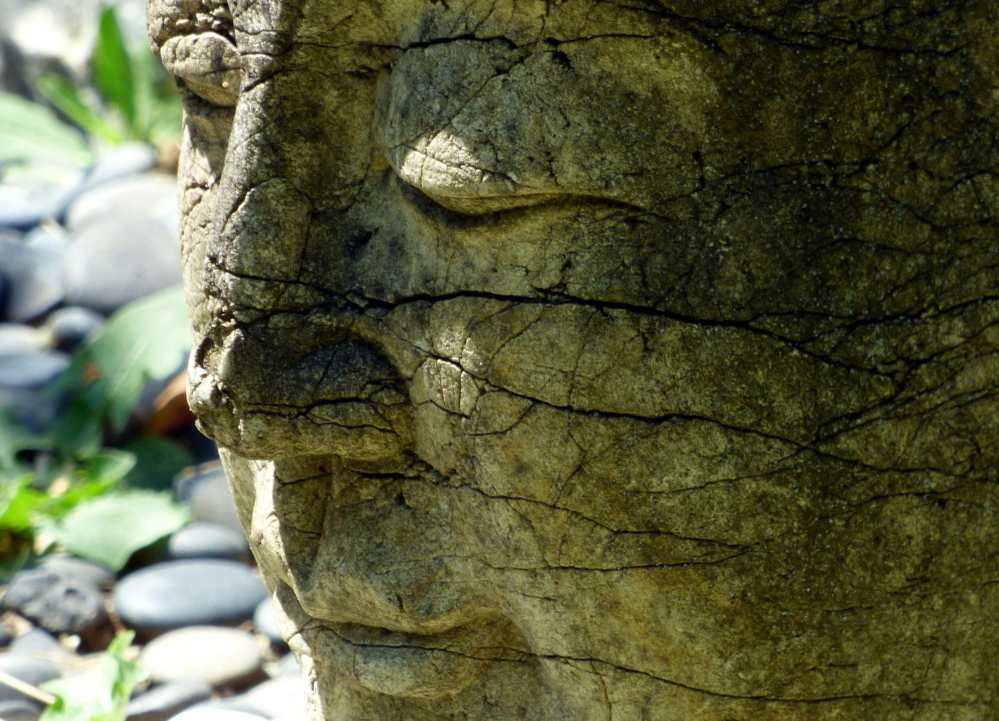Gesundheits-QiGong