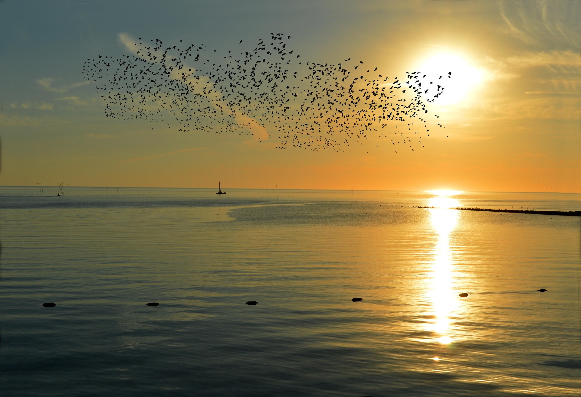 QiGong in Schleswig-Holstein